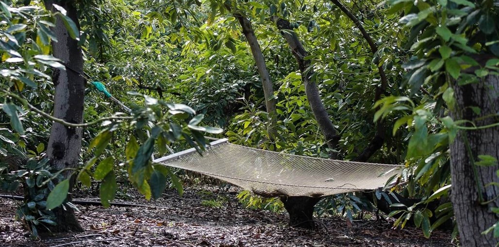 הבית של יעל החצר (19).jpg