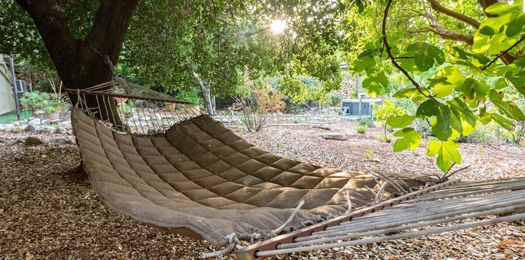 אירוח רוקנשטין אירוח רוקנשטין - החצר (24).jpg