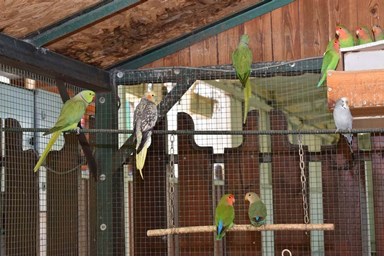 בקתה בהר - המשחקייה