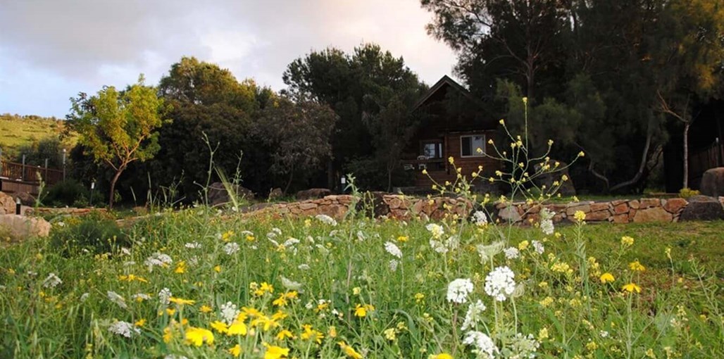 בקתות עץ בקצה הכפר החצר, הבריכה והנוף (16).JPG