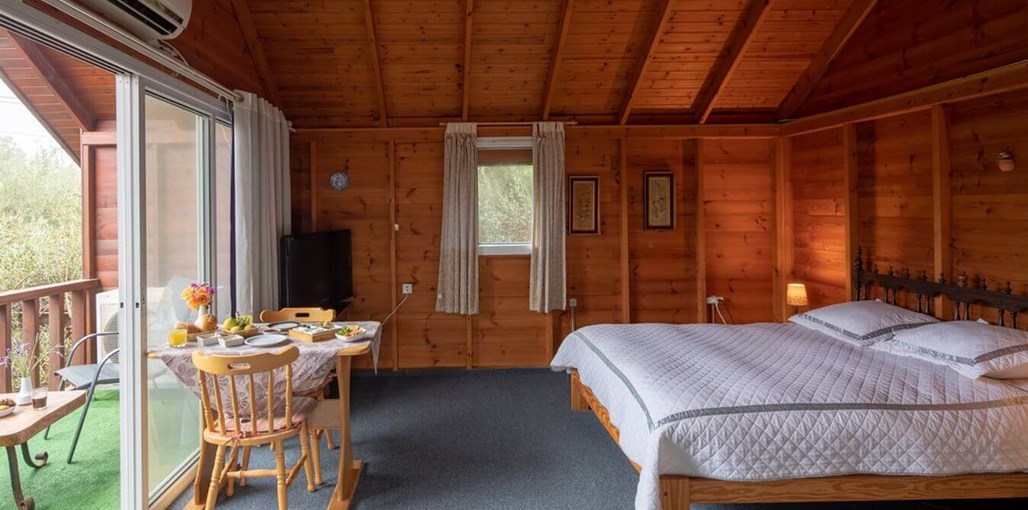 לבנדר וזית זוגי (8).jpg