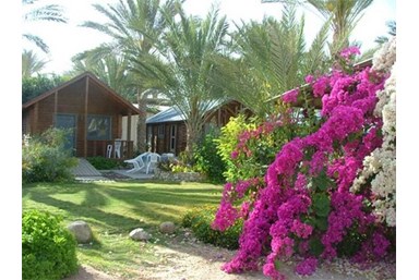 חולות מדבר - משפחת קניון - אוהל האירוח