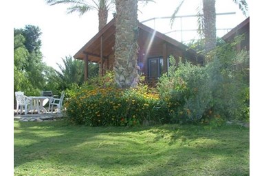 חולות מדבר - משפחת קניון - החצר והנוף