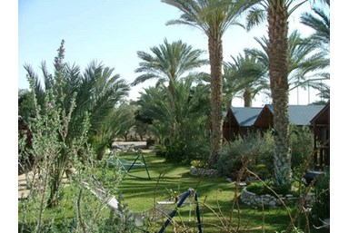 חולות מדבר - משפחת קניון - בקתות עץ