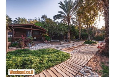 פנינה במדבר - אצלנו בחצר