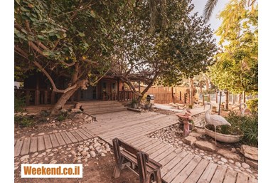 פנינה במדבר - אצלנו בחצר