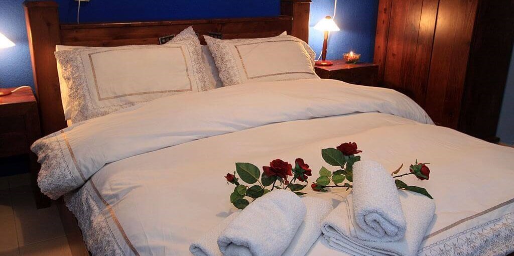 הפינה הירוקה של דבורה הבקתות הזוגיות (3).jpg