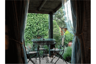 הפינה הירוקה של דבורה