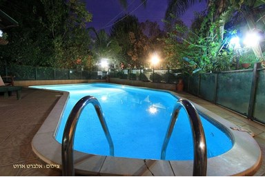 הפינה הירוקה של דבורה