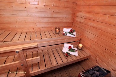 הפינה הירוקה של דבורה