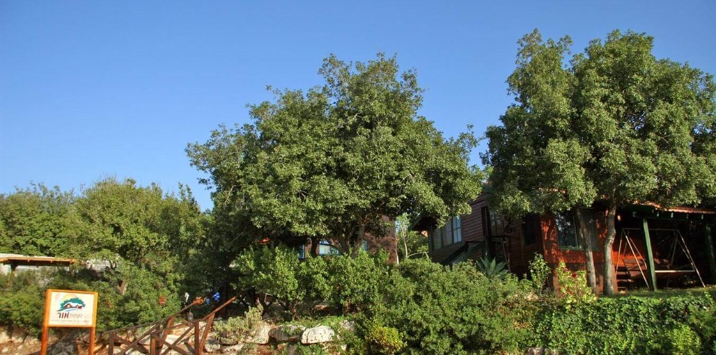 בקתות מור החצר (1).JPG