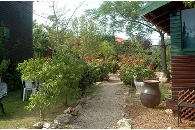 בקתות מור - החצר והבריכה