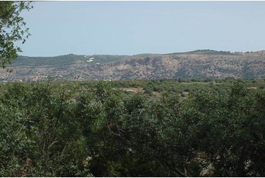 בקתות מור - החצר והבריכה