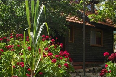 בקתות מור - החצר והבריכה