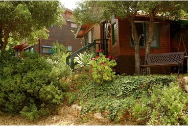 בקתות מור - החצר והבריכה