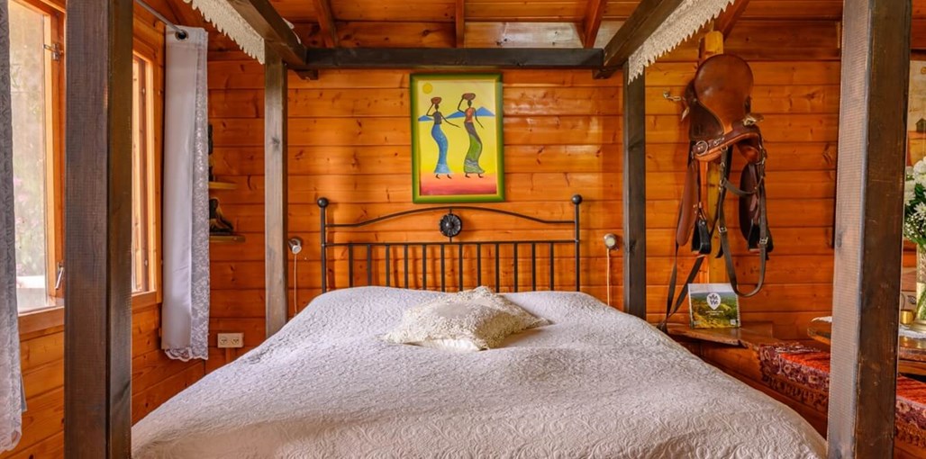 בצל עצי הזית זוהר 2 (9).jpg