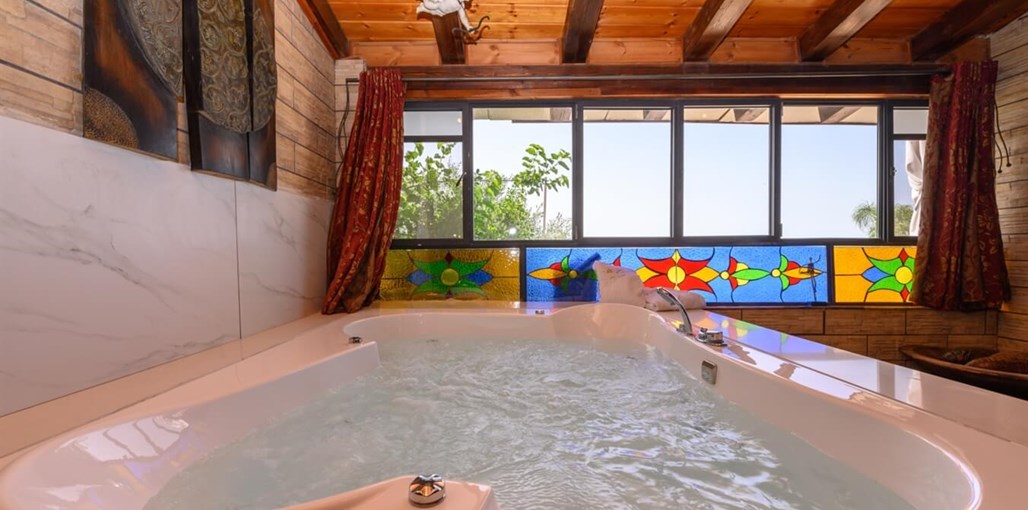 בצל עצי הזית המלכותית (4).jpg