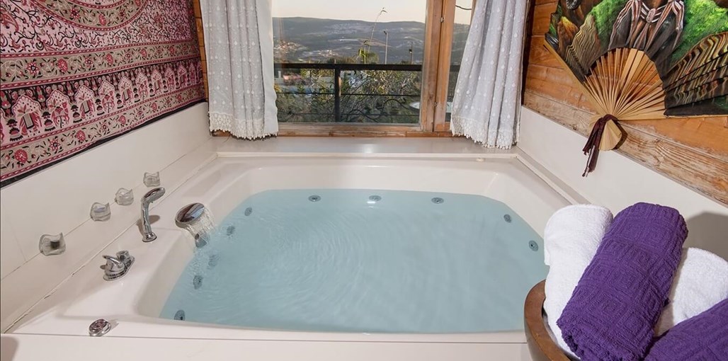 בצל עצי הזית בצל עצי הזית - דינה (2).jpg