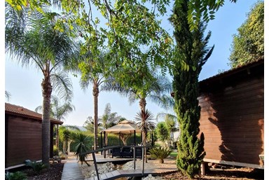 אחוזת טל בקתות עץ - החצר