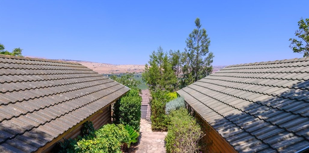 אביב בכרם נוף (5).jpg