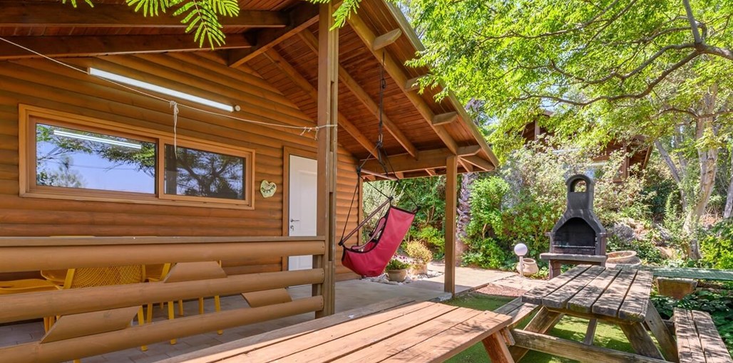 אביב בכרם שרדונה (18).jpg