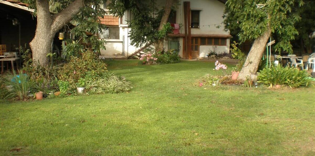 דשא בכפר החצר והסביבה (3).jpg