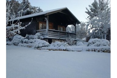 אצלנו בחצר - צוריאל