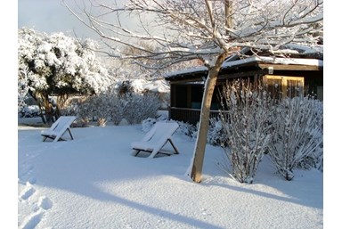 אצלנו בחצר - צוריאל
