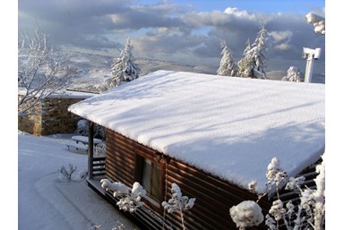 אצלנו בחצר - צוריאל