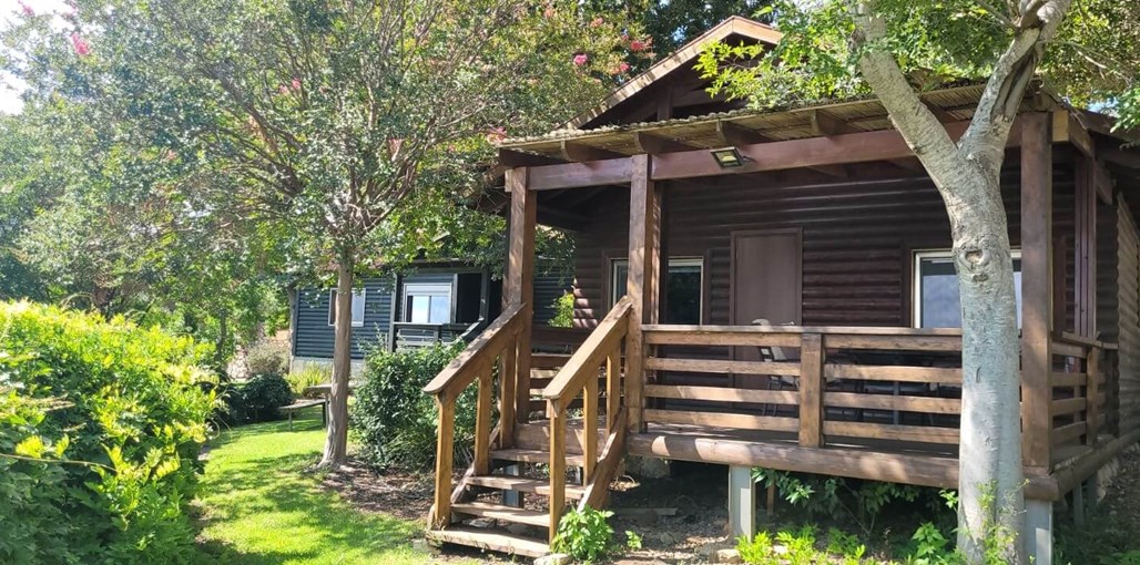 אצלנו בחצר - צוריאל חצר אוגוסט 2022 (4).jpeg