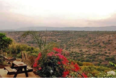 החוויה השלישית - החצר והנוף