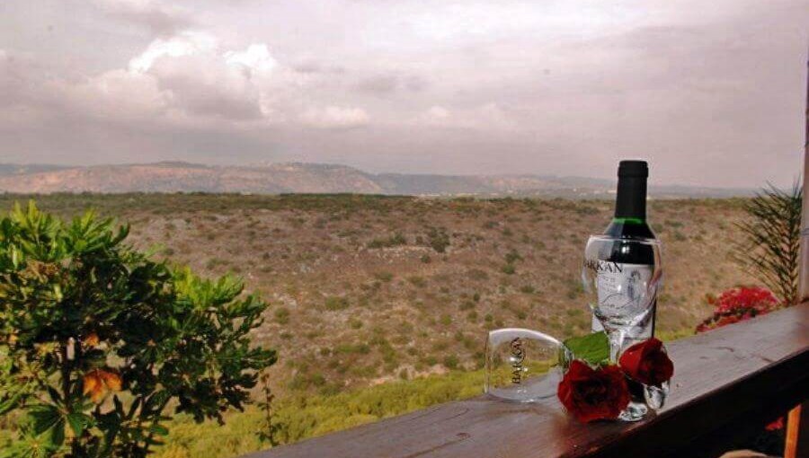 החוויה השלישית האפריקאית (3).jpg