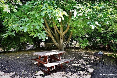 בקתות בפרדס הרמן - הסוויטה 