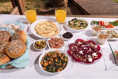 כחול ירוק בכפר - החצר והבריכה המחוממת