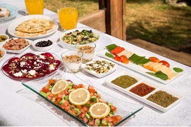 כחול ירוק בכפר - החצר והבריכה המחוממת