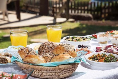 כחול ירוק בכפר - החצר והבריכה המחוממת