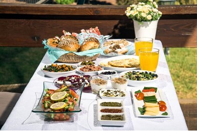 כחול ירוק בכפר - החצר והבריכה המחוממת