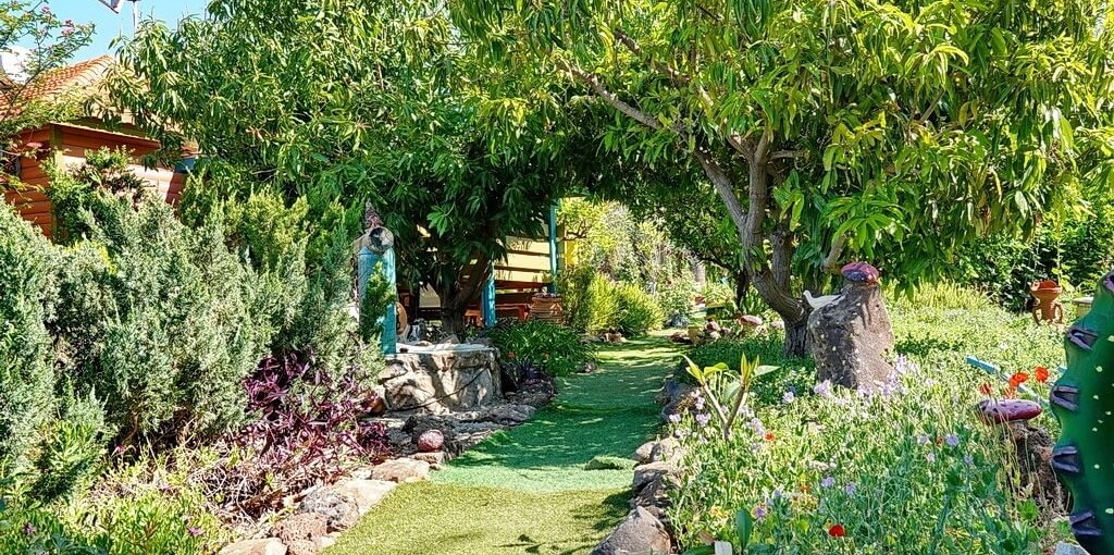 גן עדן קסום - אצל ציקי חצר (4).jpeg