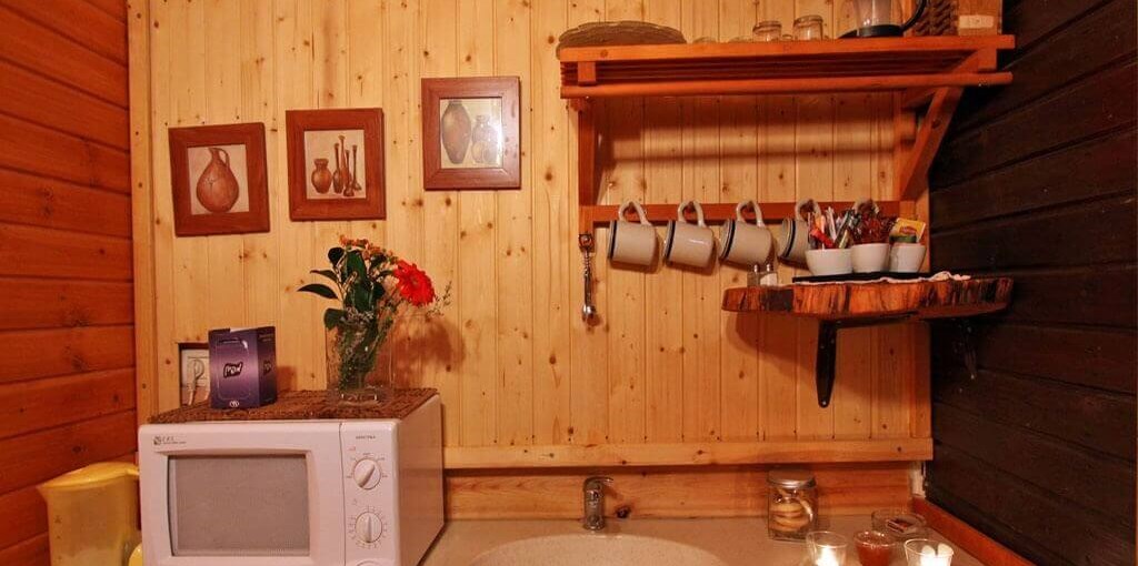 החזון של גץ בקתה 2 (10).jpg