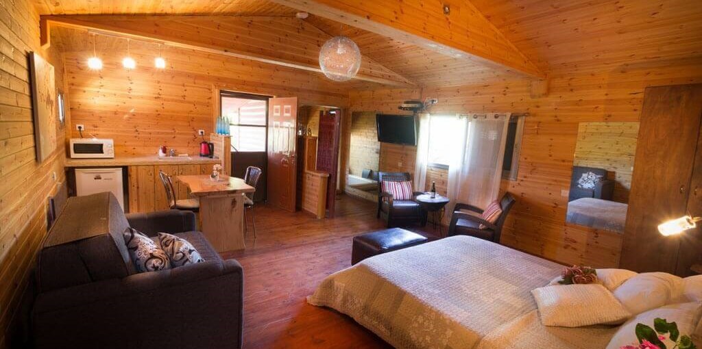 החזון של גץ בריכה (6).jpg