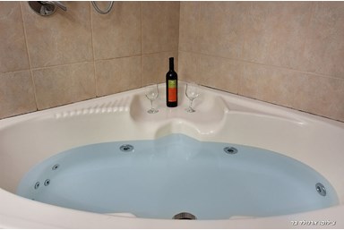 בוסתן הכנרת