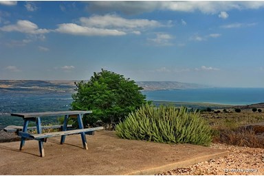 בוסתן הכנרת