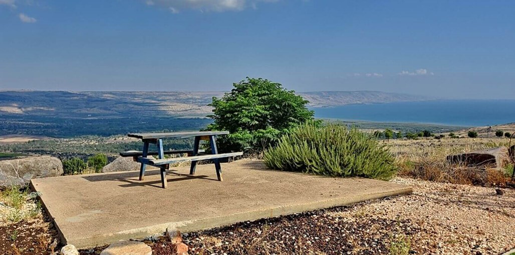 בוסתן הכנרת בוסתן הכנרת - החצר, הבריכה והנוף (22).jpg