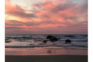 רוח ים במכמורת - מה בסביבה