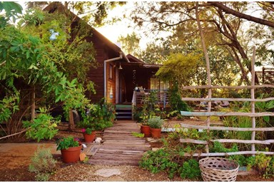 רוח ים במכמורת