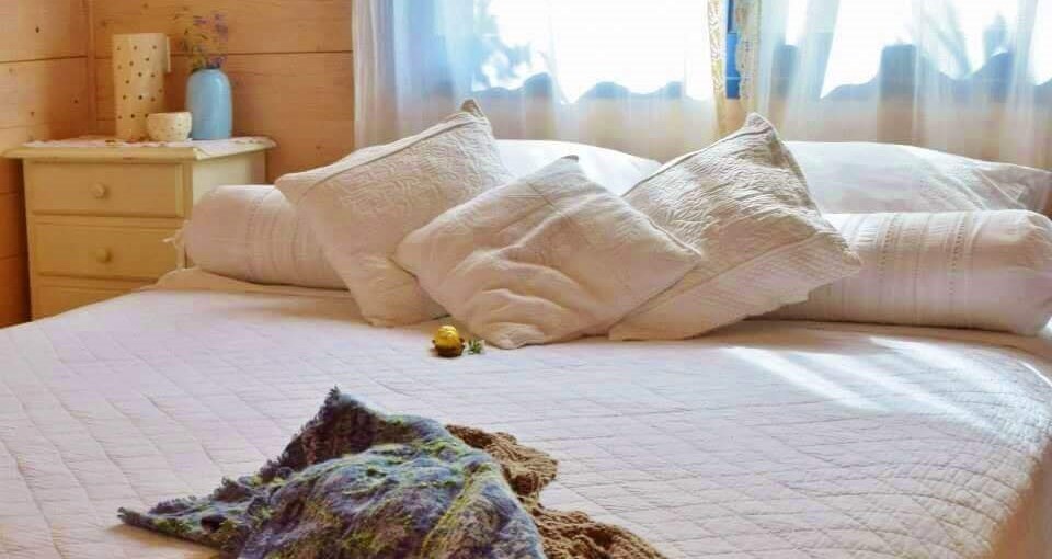 רוח ים במכמורת בקתת ים (18).jpg