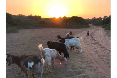 רוח ים במכמורת - מה בסביבה