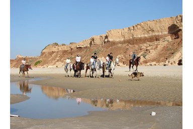 רוח ים במכמורת - מה בסביבה