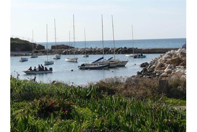 רוח ים במכמורת - מה בסביבה