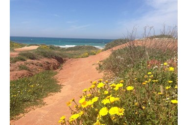 רוח ים במכמורת